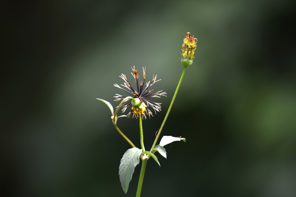 海峡を秋風渡る　➂。。。！