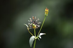 海峡を秋風渡る　➂。。。！