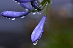 雨粒のシンフォニー　⑥。。。！
