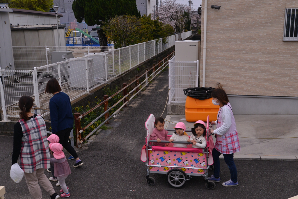 お花見に行こうよ。。。！