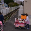 お花見に行こうよ。。。！