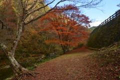 高原の深秋　④。。。！