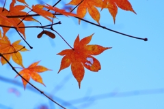 澄み渡る空の下。。。！