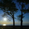 寄り添う夕暮れ　①。。。！
