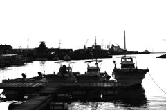 Having no color　➂。。。！