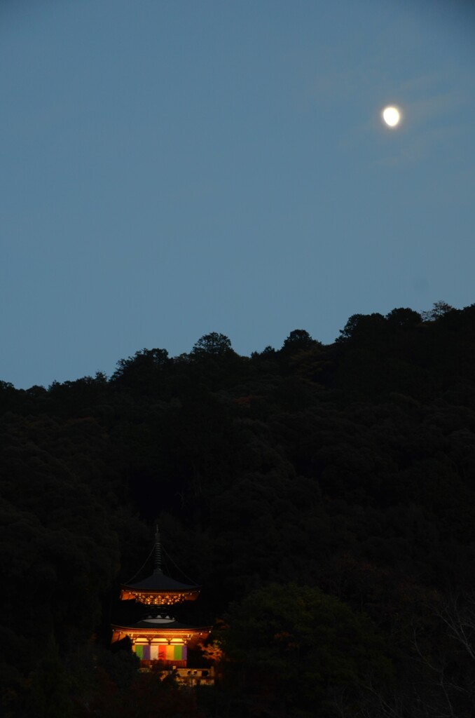 おぼろ月夜と静かな秋。。。！