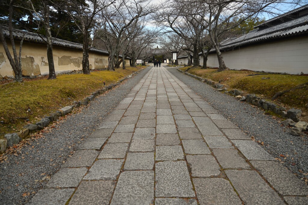魅力の土塀沿い　②。。。！