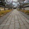 魅力の土塀沿い　②。。。！