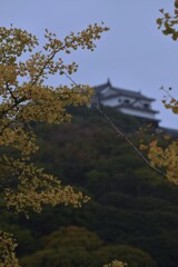 雨の城山（松山城）①。。。！