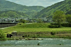 のどかな風景。。。！