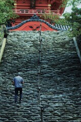 道後．．伊佐爾波神社　②。。。！