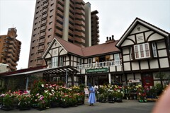 街のばら園　④。。。！