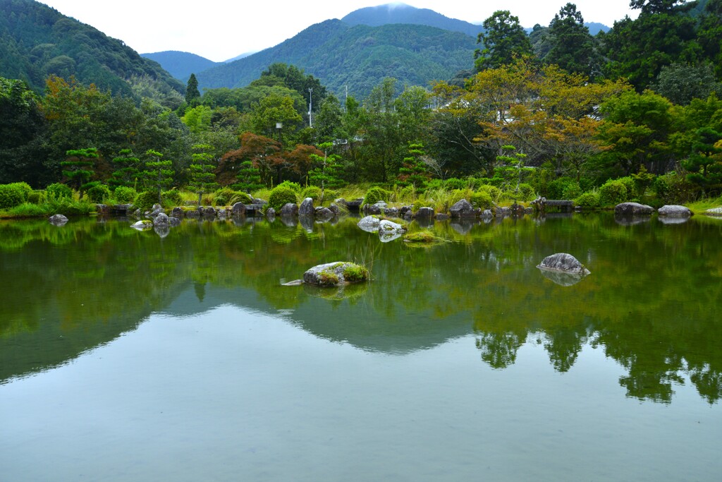 雨上がりの庭園　④。。。！