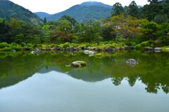 雨上がりの庭園　④。。。！