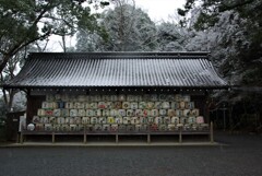 お酒の神様。。。！