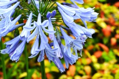 華やかに。。。！