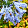 華やかに。。。！
