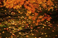 哀しみの終焉　②。。。！