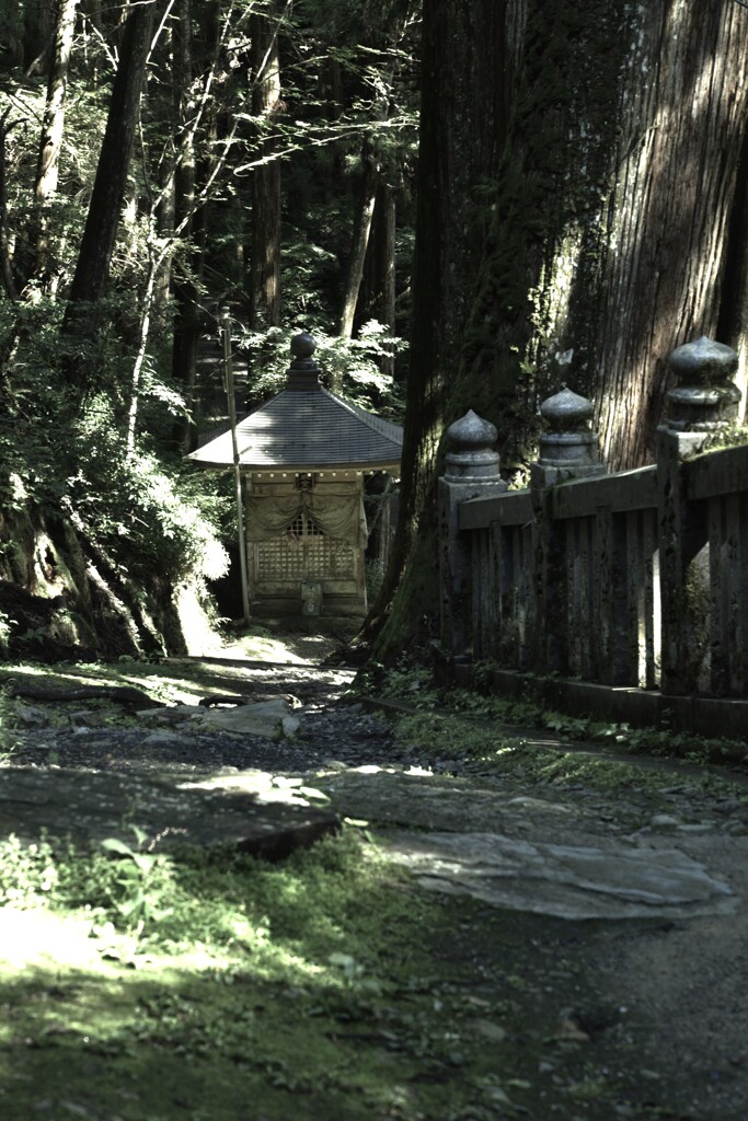 山に抱かれた山門　⑥。。。！