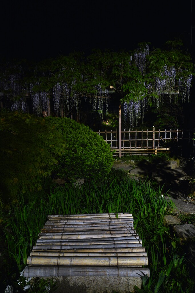 夜の庚申庵　⑧。。。！