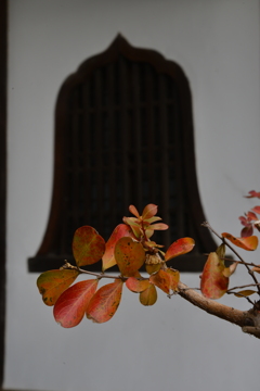 尾道．．古寺巡り　➁。。。！
