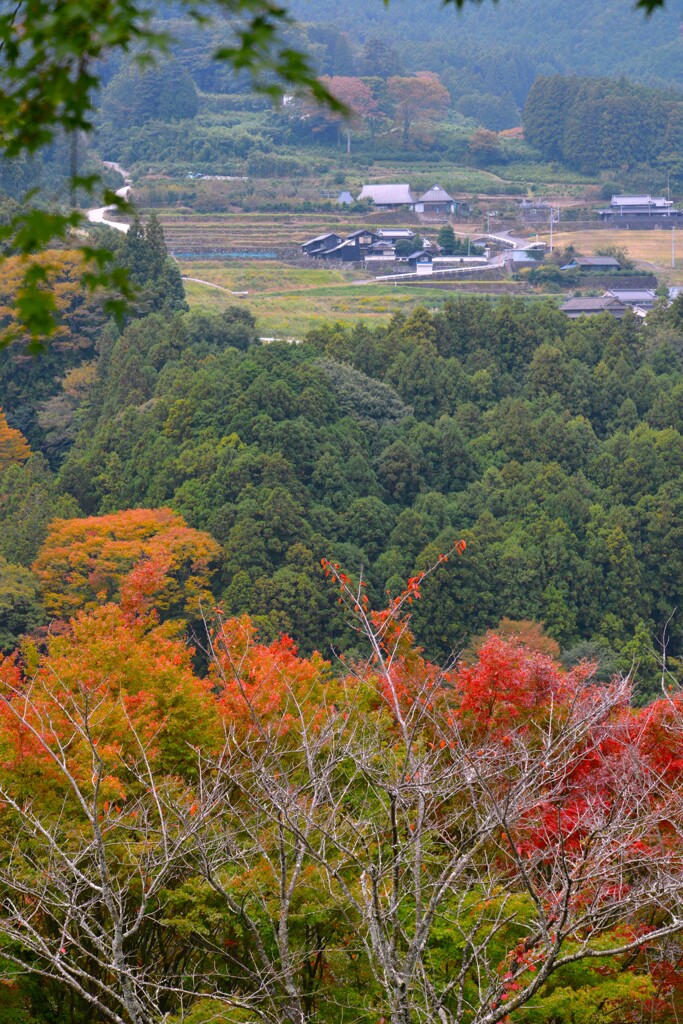 山里の秋深まる　①。。。！