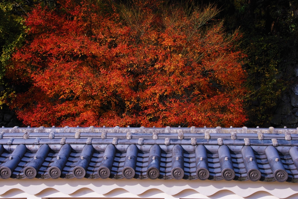 真紅の爆発ダァ。。。！