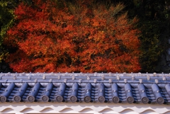 真紅の爆発ダァ。。。！