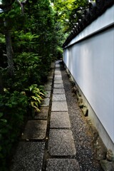 退蔵院の夏　③。。。！