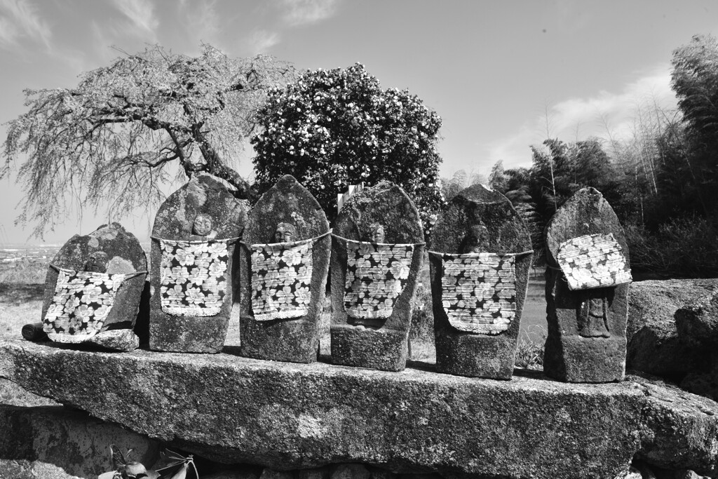 老木は語る　➂。。。！