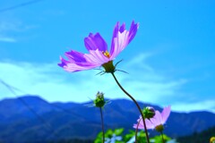 思秋期　①。。。！