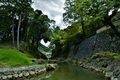 臥龍淵の深緑。。。！