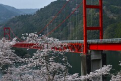 この世の春と紅い橋　。。。！