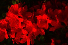 夜の庚申庵　④。。。！