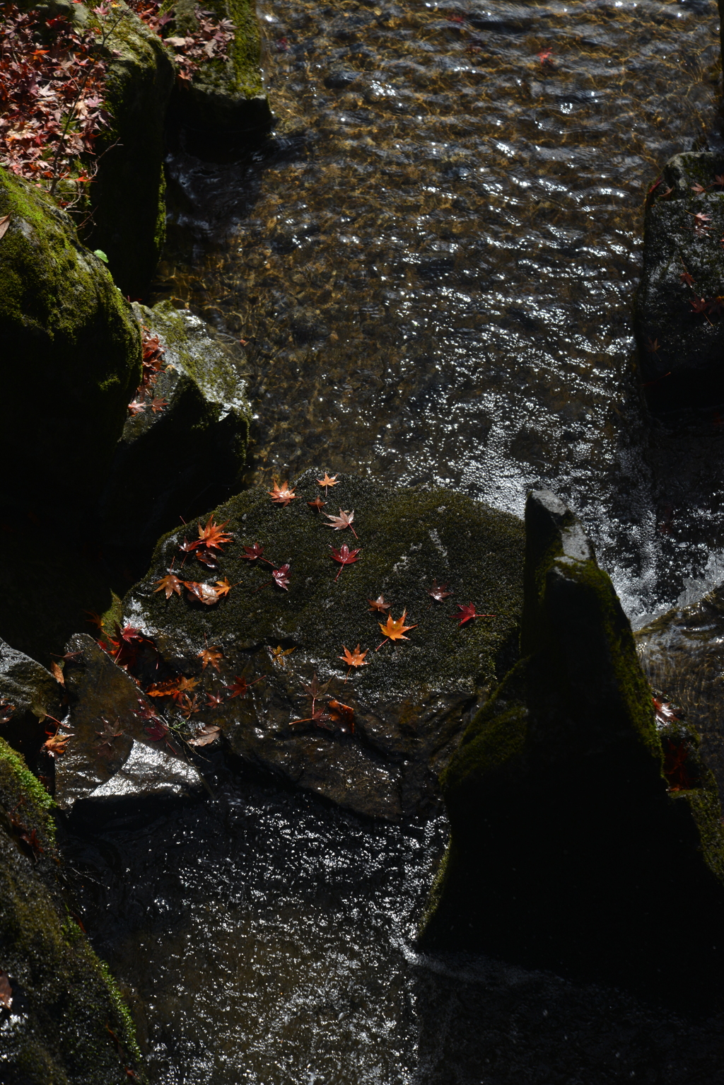 last　autumn　②。。。！