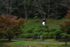 勇気とチャレンジ精神　④。。。！