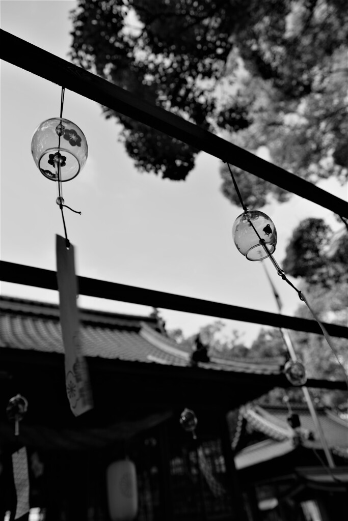 風鈴の音渡る神社　②。。。！