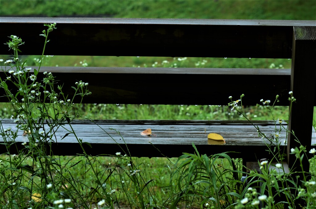 梅雨の似合う場所　①。。。！