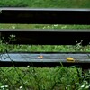 梅雨の似合う場所　①。。。！