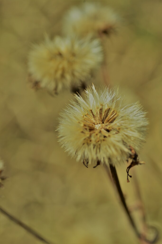 役目を終えて。。。！