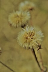 役目を終えて。。。！