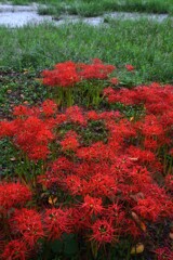 赤の主張 ②。。。! 赤の主張 ②。。。!