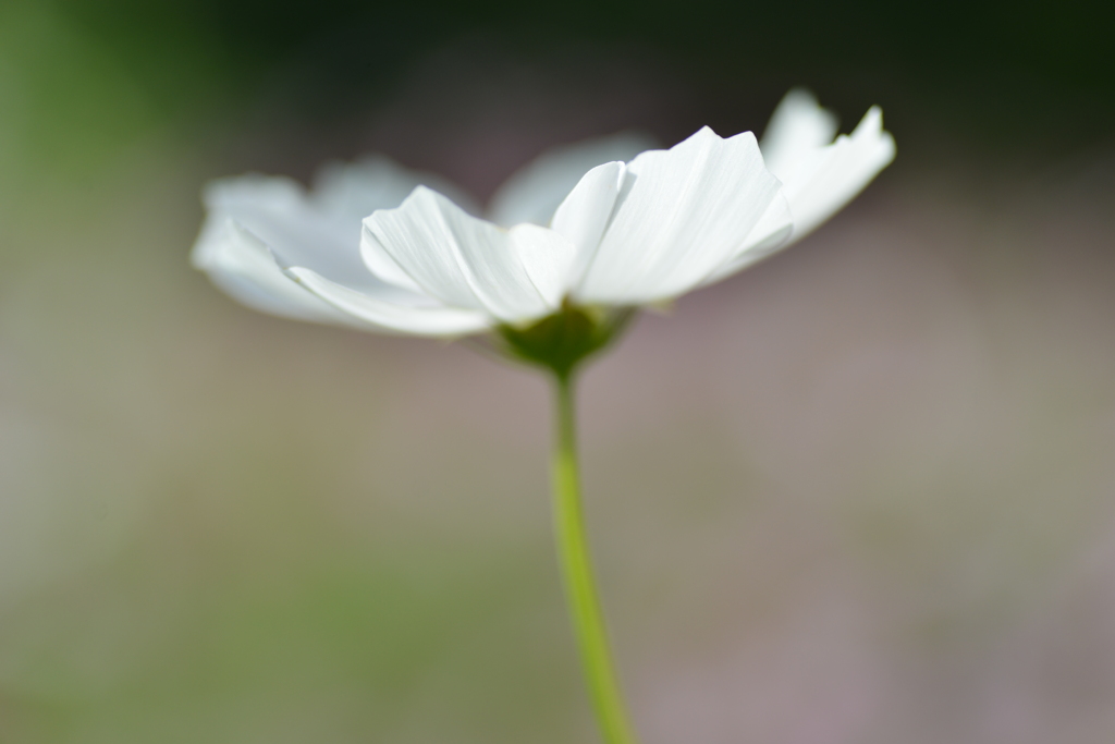 山の秋を惜しむ　④。。。！