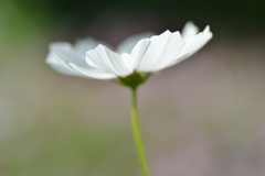 山の秋を惜しむ ④。。。! 山の秋を惜しむ ④。。。!