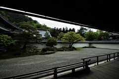 雨のそぼ降る。。。！