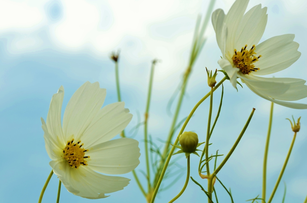 秋の宅配便　⑤　。。。！