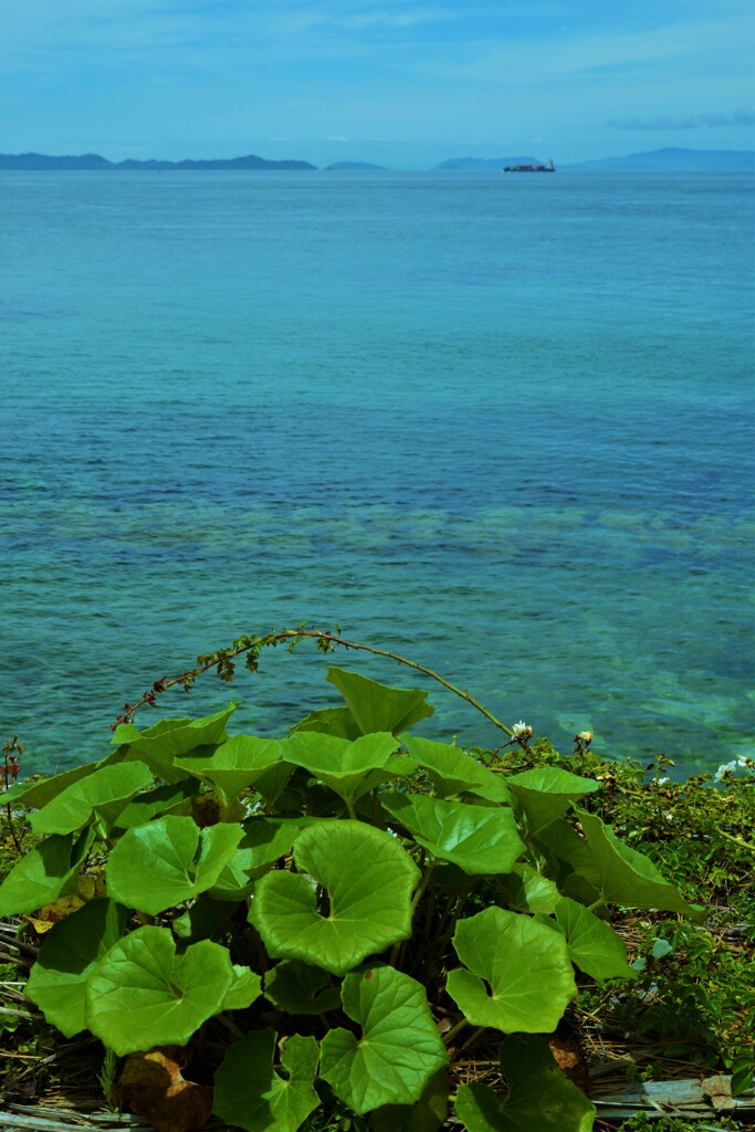 海を感じる丘の上　➂。。。！