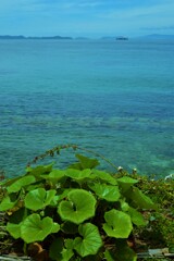 海を感じる丘の上　➂。。。！