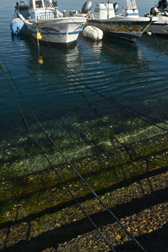 爽快な冬晴れ　④。。。！