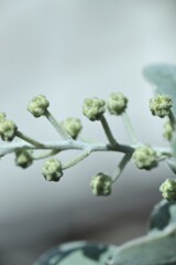 小さな輝き。。。！